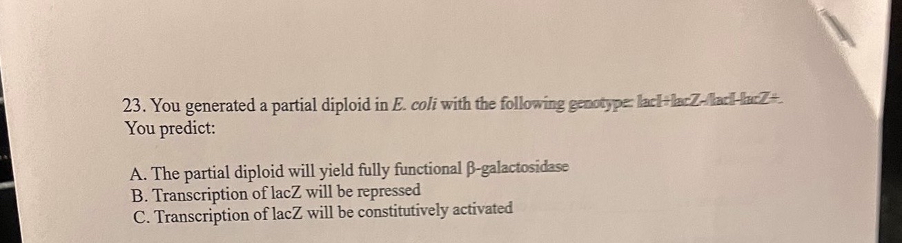 You generated a partial diploid in E . coli with