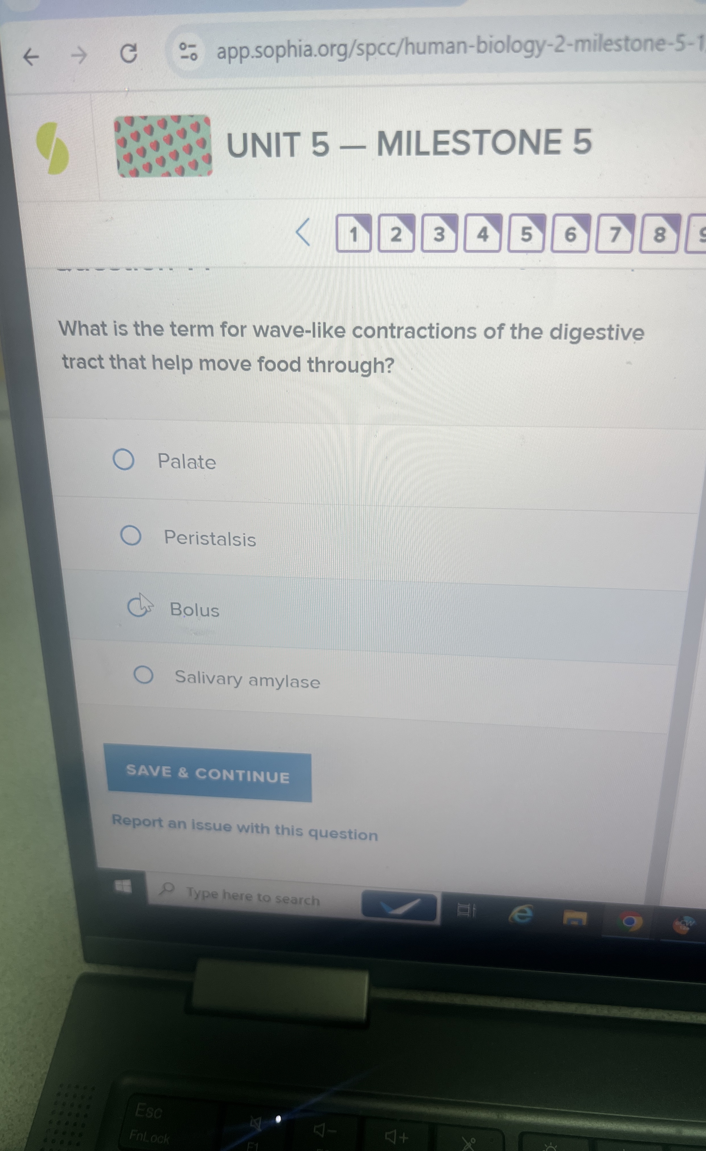 - - app.sophia.org / spcc / human - biology - 2 -