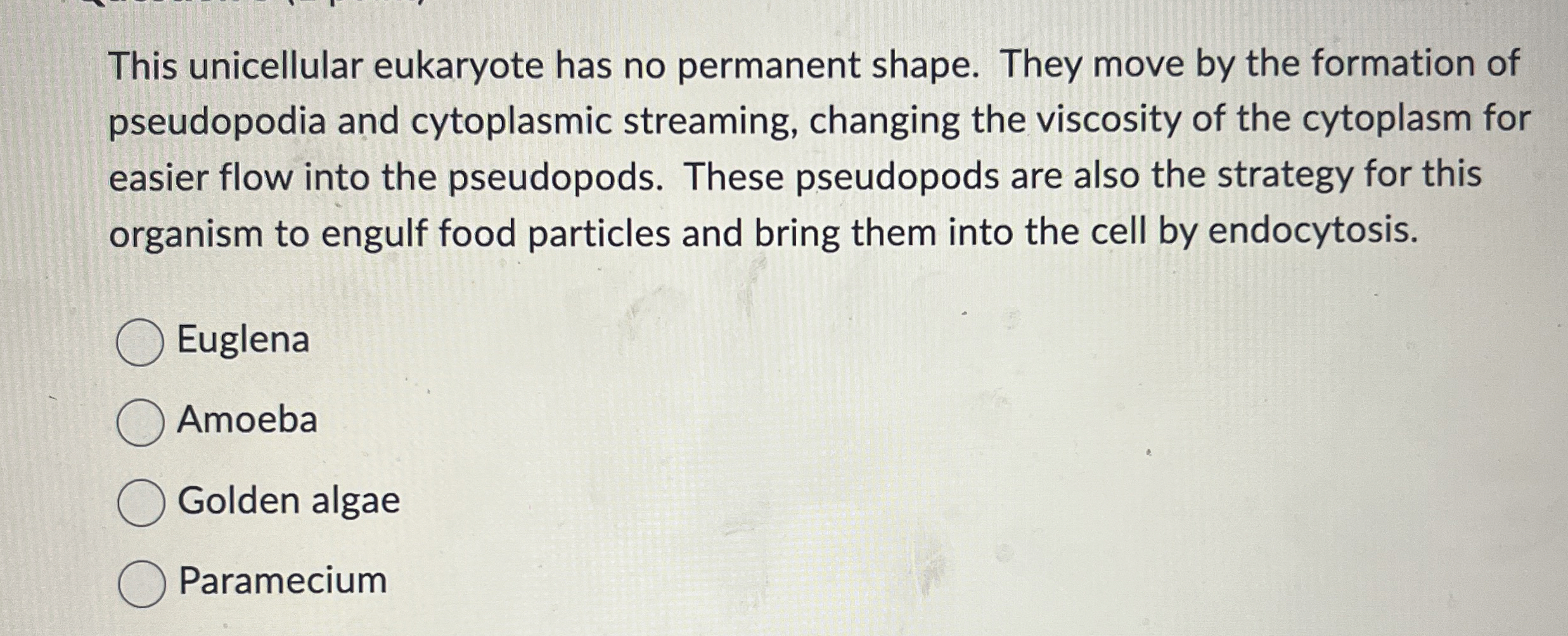 This unicellular eukaryote has no permanent