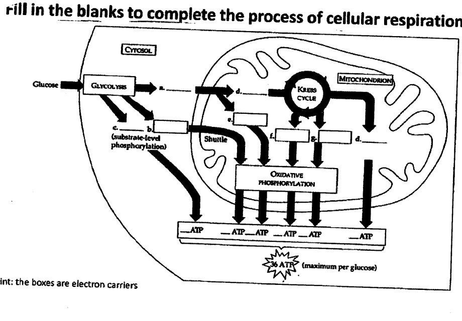 I needed the diagram completed: Fill in the