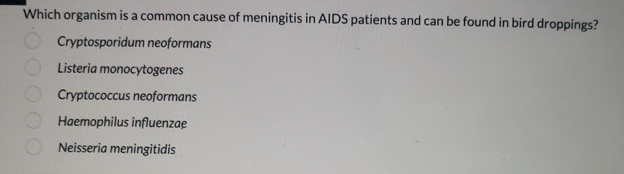 Which organism is a common cause of meningitis in