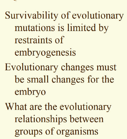 with respect to developmental biology define