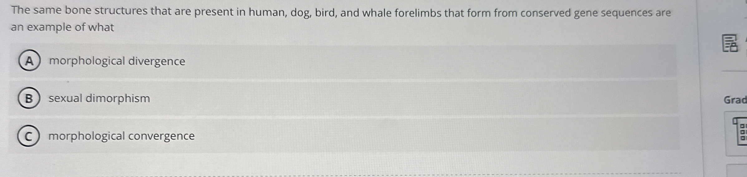 The same bone structures that are present in