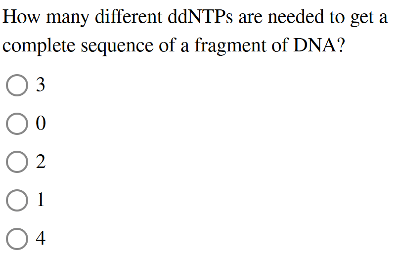 How many different ddNTPs are needed to get a