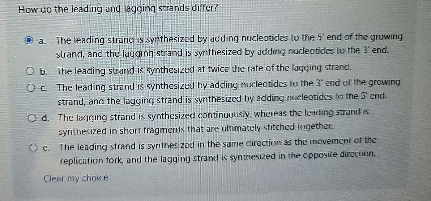 How do the leading and lagging strands differ? a
