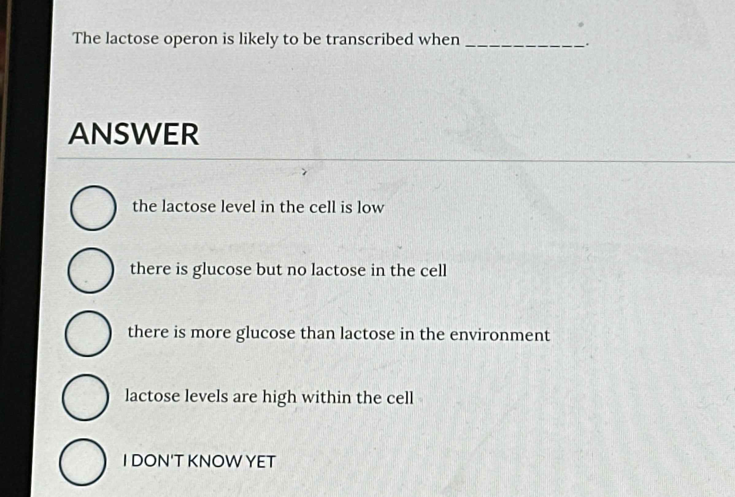 The lactose operon is likely to be transcribed