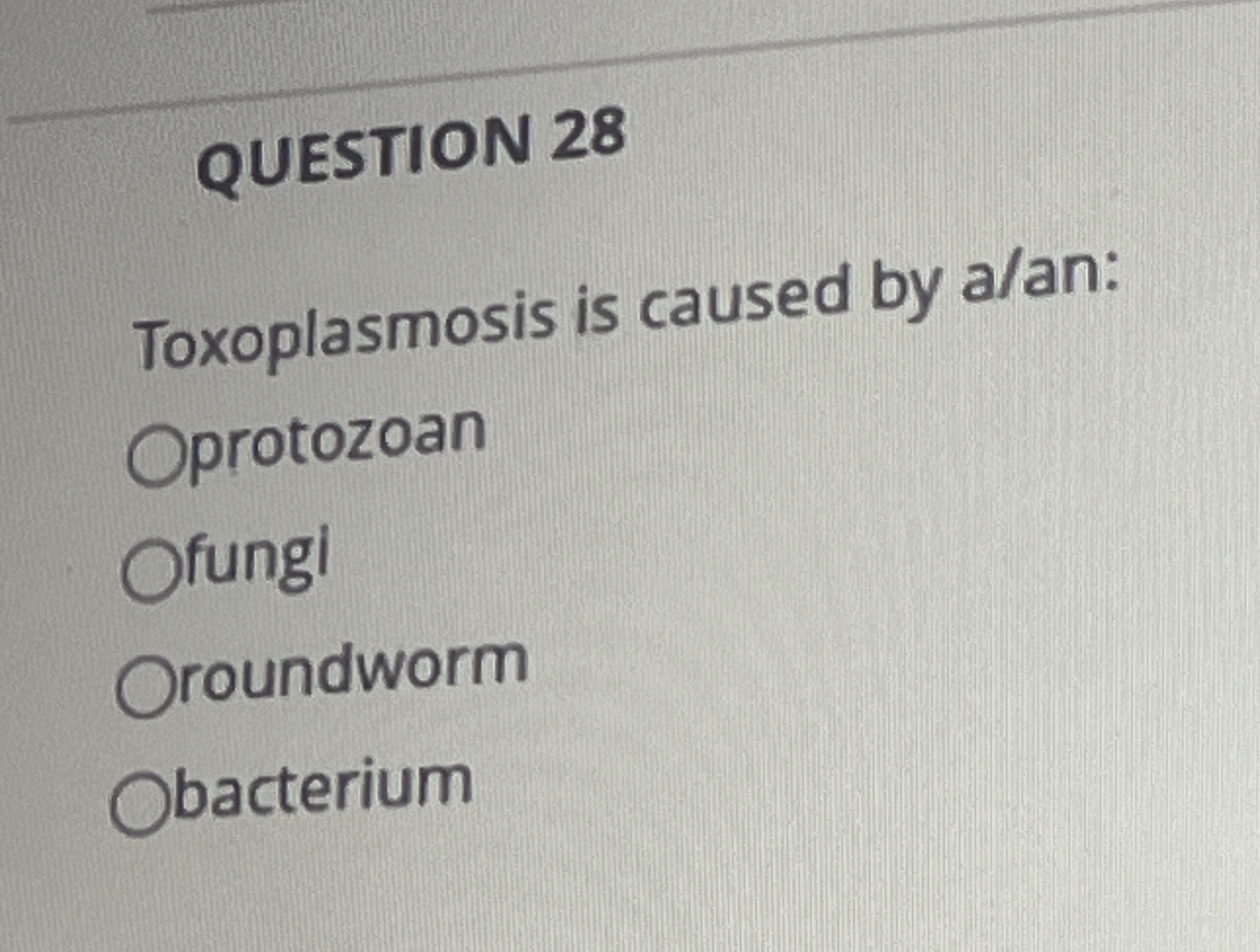 QUESTION 2 8 Toxoplasmosis is caused by a / an:
