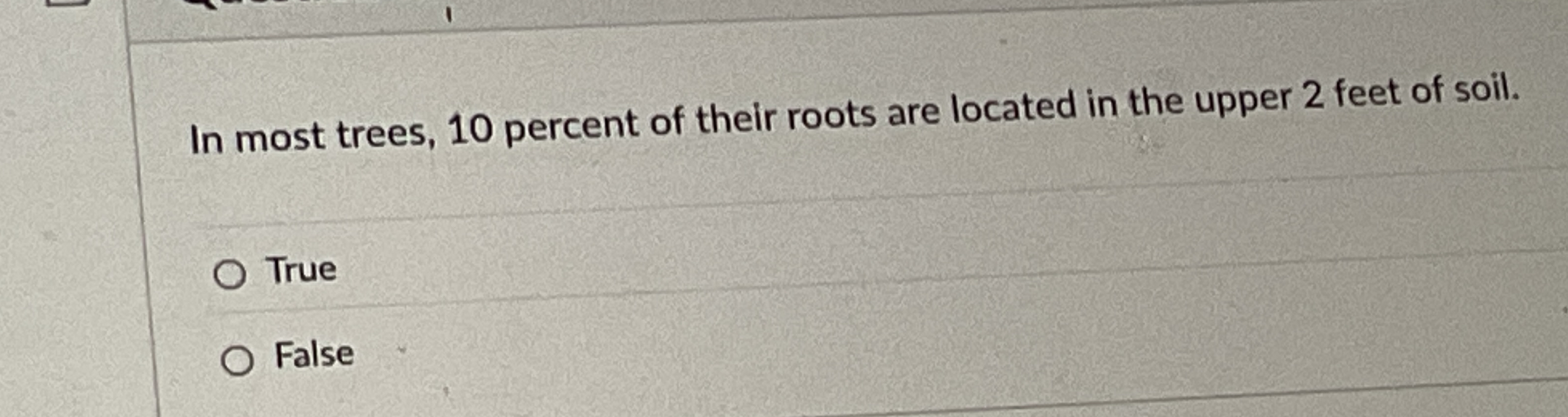 In most trees, 1 0 percent of their roots are