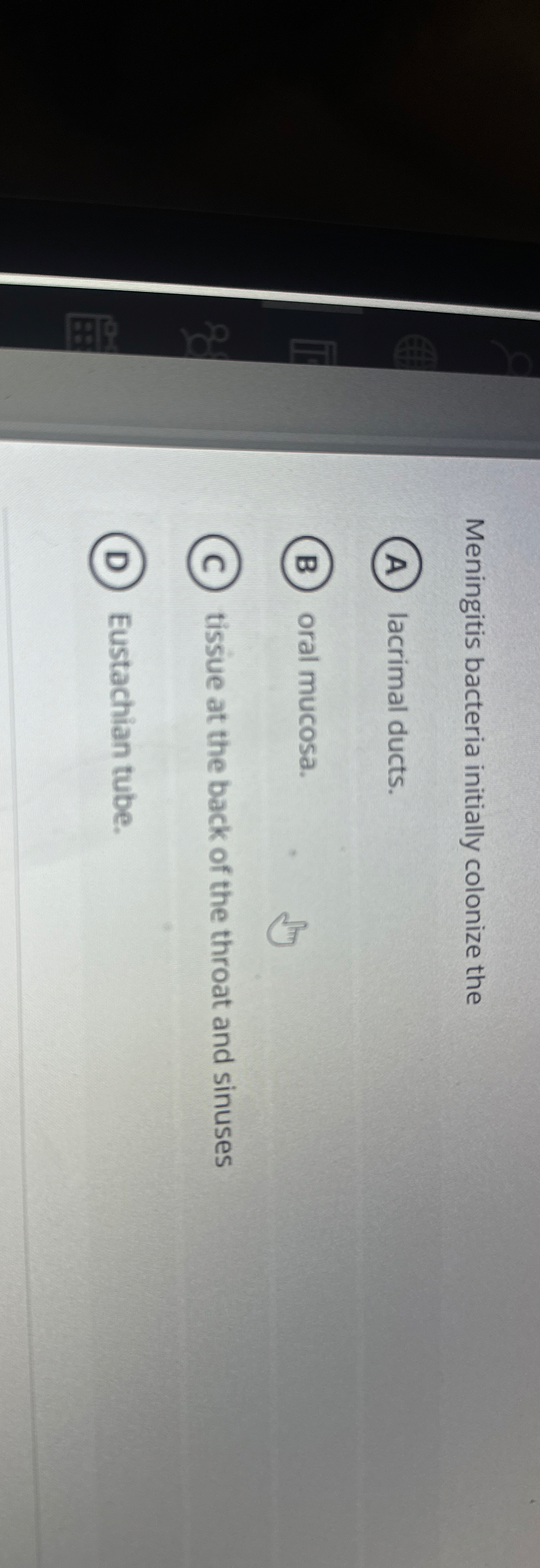Meningitis bacteria initially colonize the