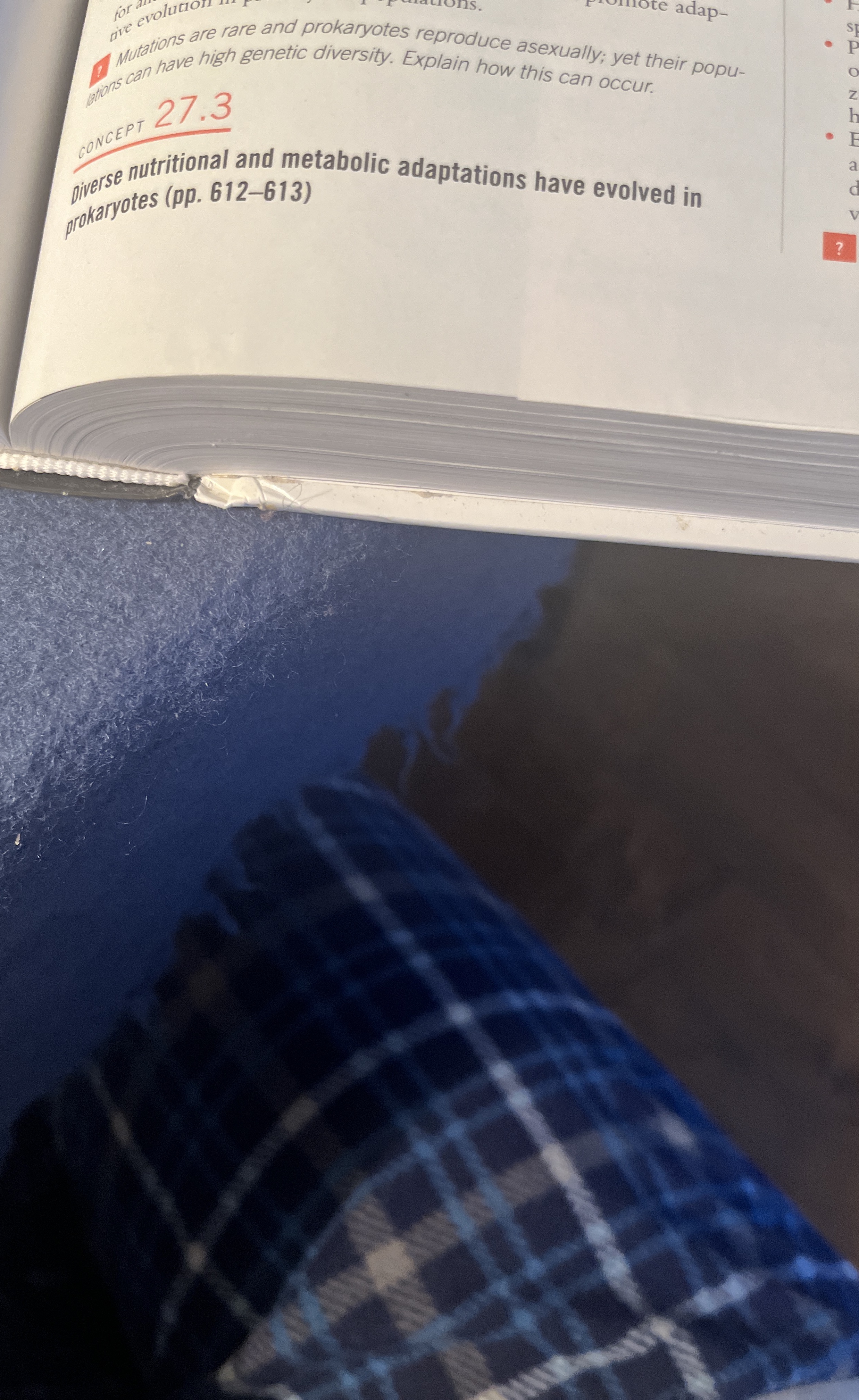 1 mutations are rare and prokaryotes reproduce