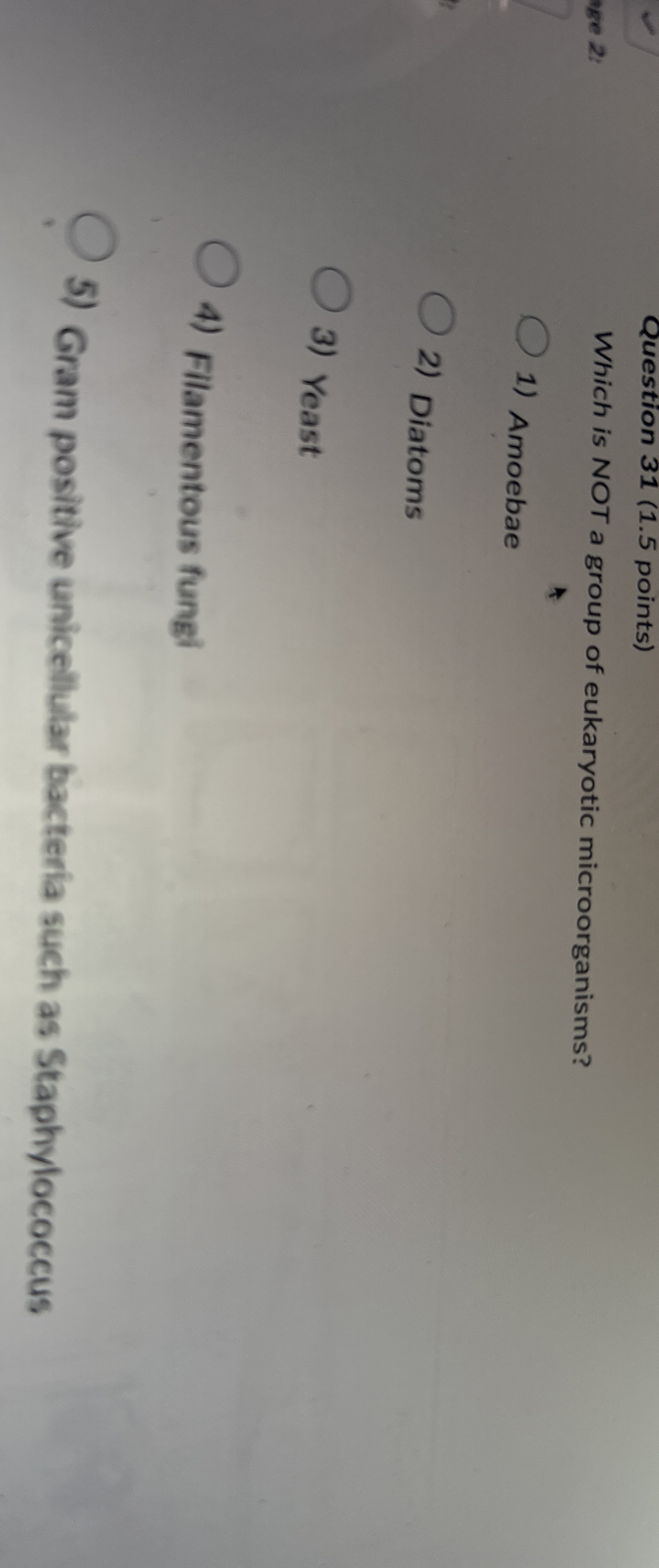 Question 3 1 ( 1 . 5 points ) Which is NOT a