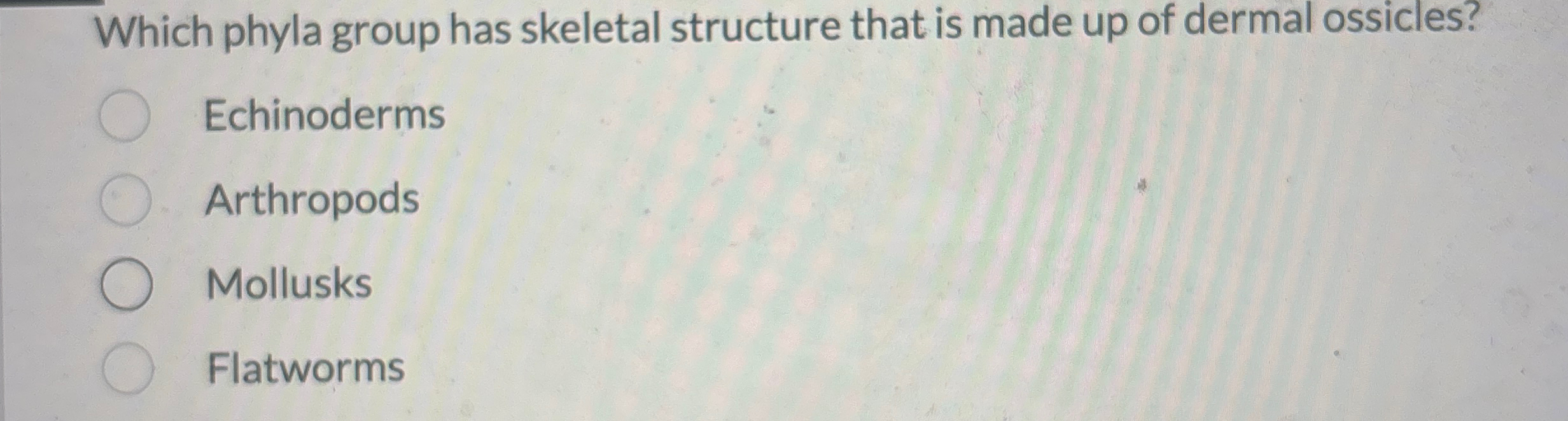 Which phyla group has skeletal structure that is