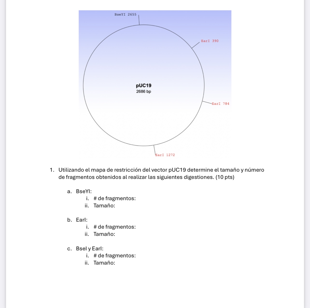 1 . Using the restriction map of the pUC 1 9