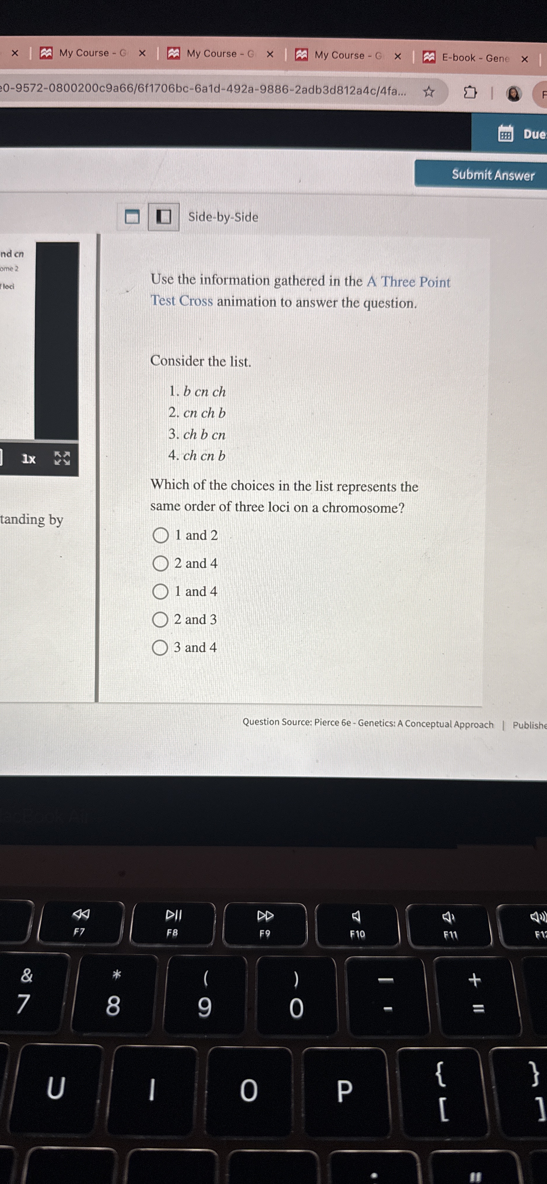 Submit Answer Side - by - Side Use the