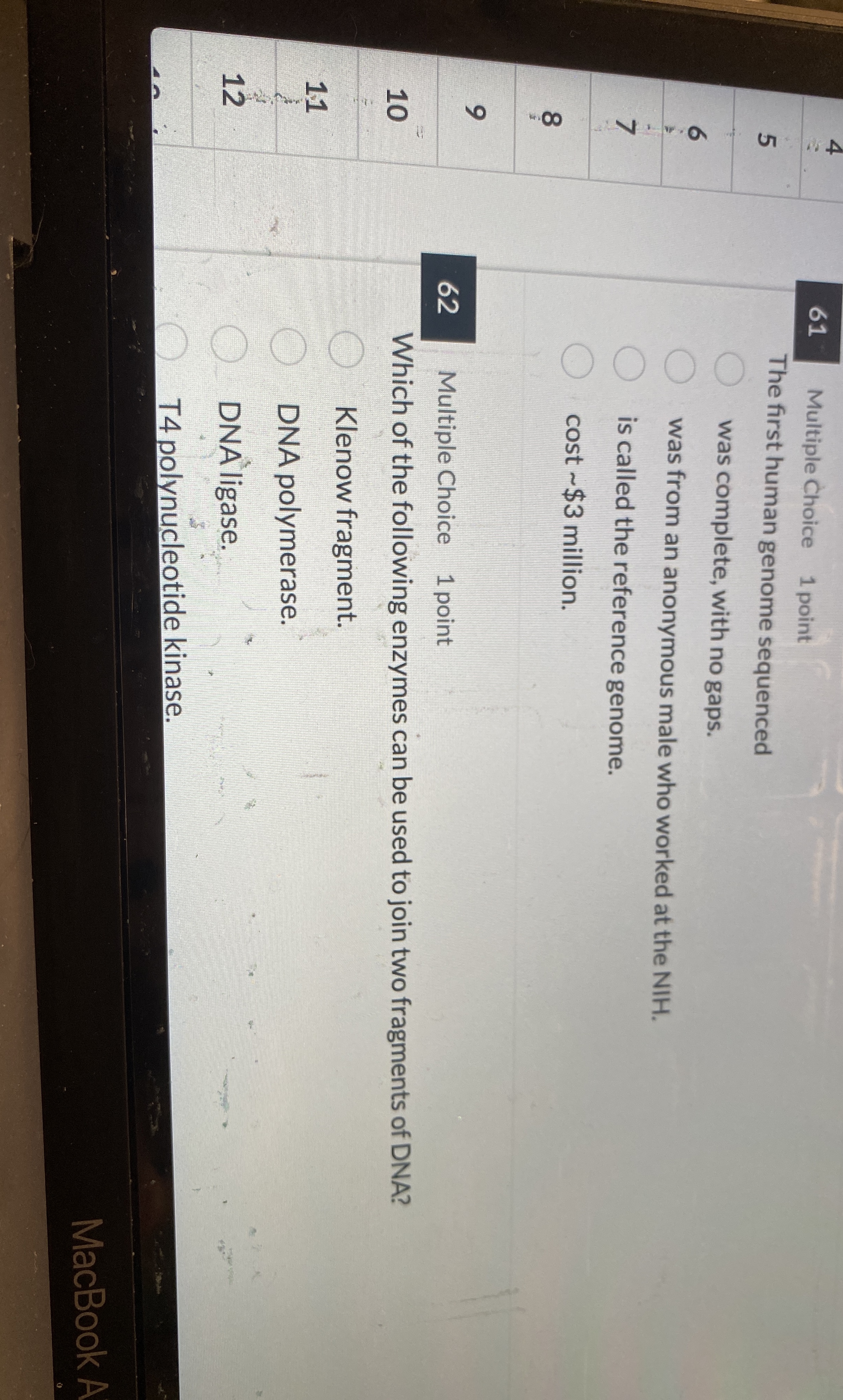 6 1 Multiple Choice 1 point The first human