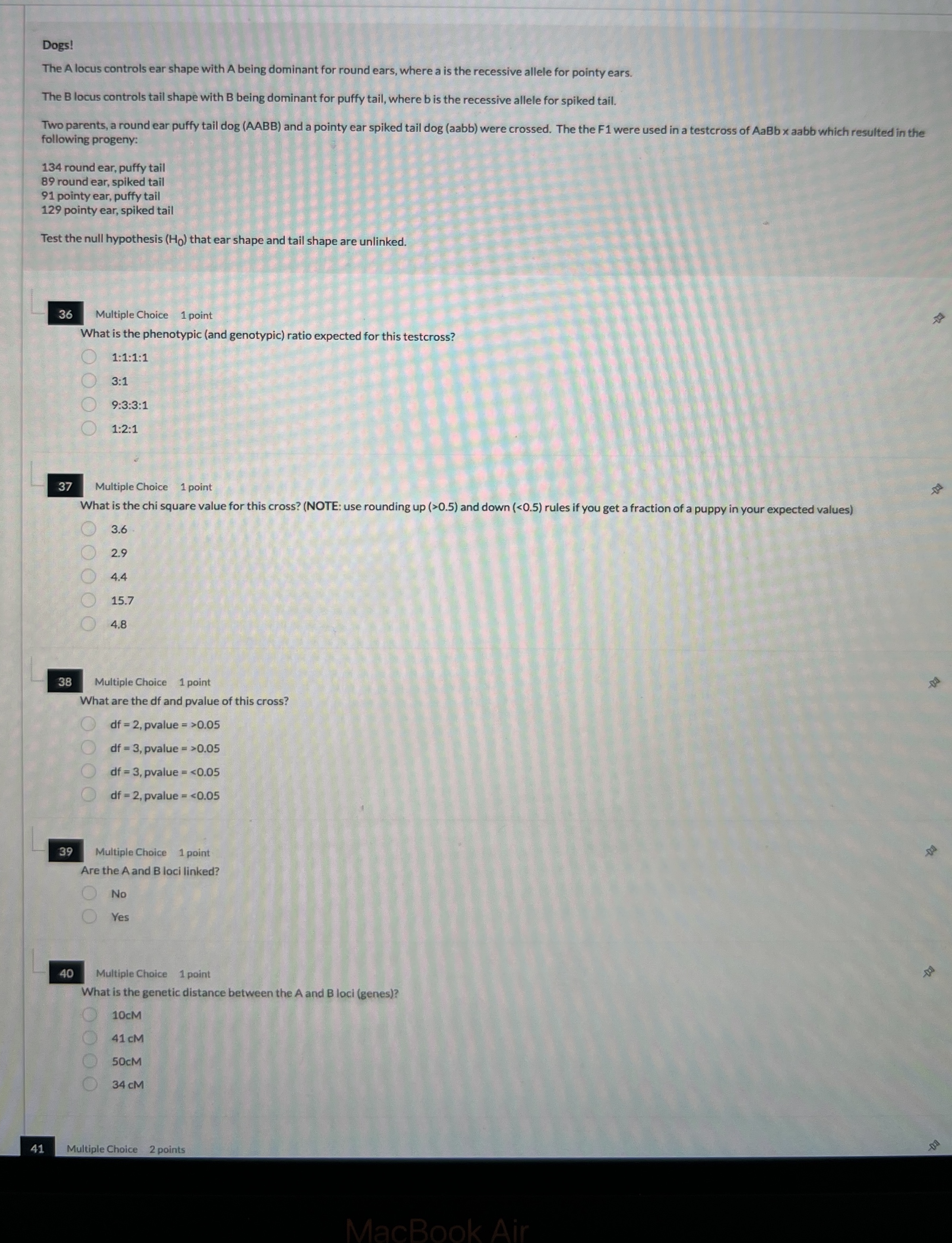 Dogs! The A locus controls ear shape with A being