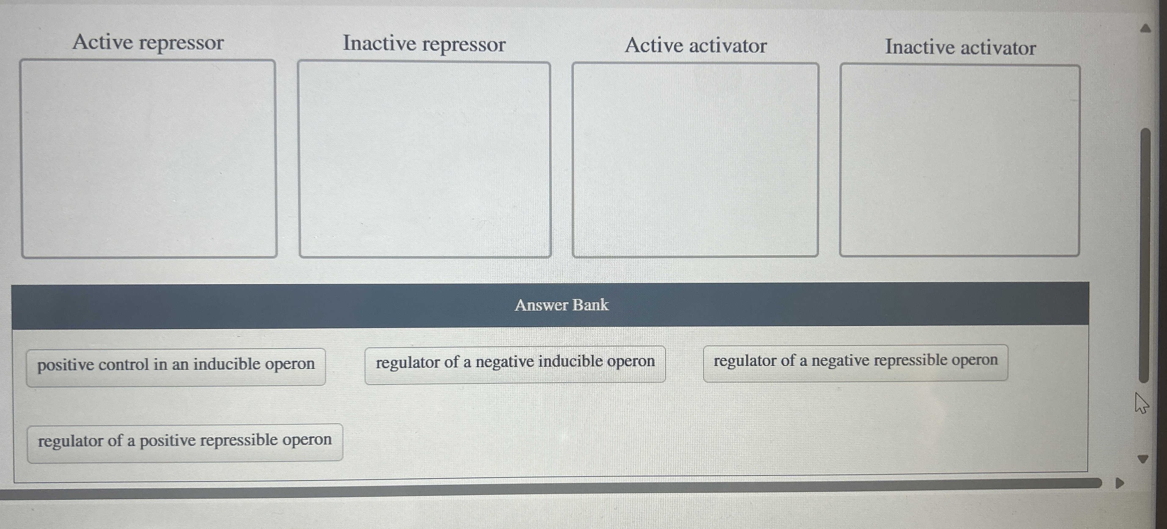 Active repressor Inactive repressor Active