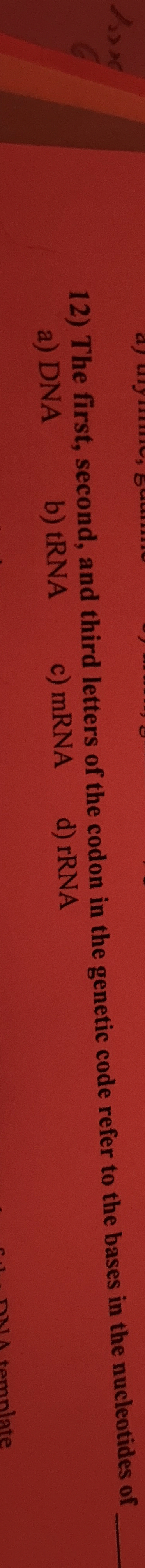 The first, second, and third letters of the codon