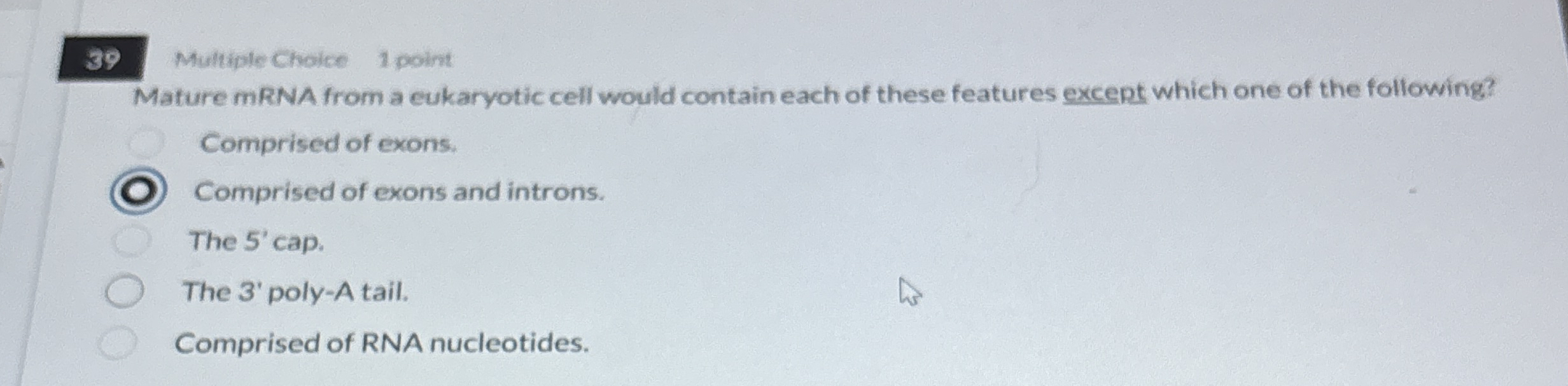 3 9 Multiple Choice 1 point Mature mRNA from a