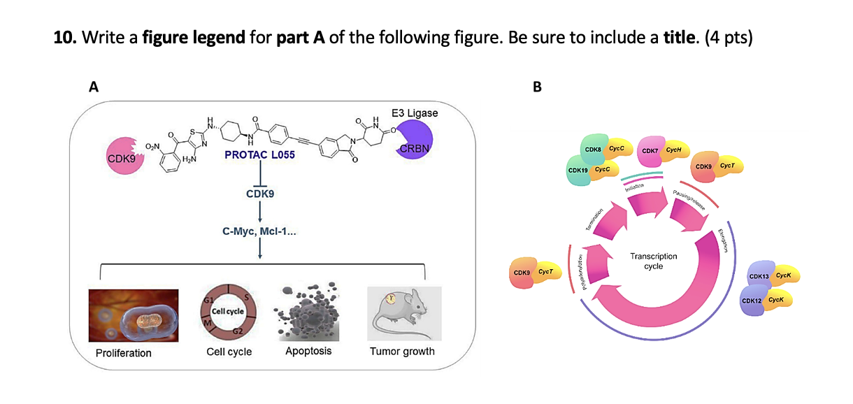 1 0 . Write a figure legend for part A of the