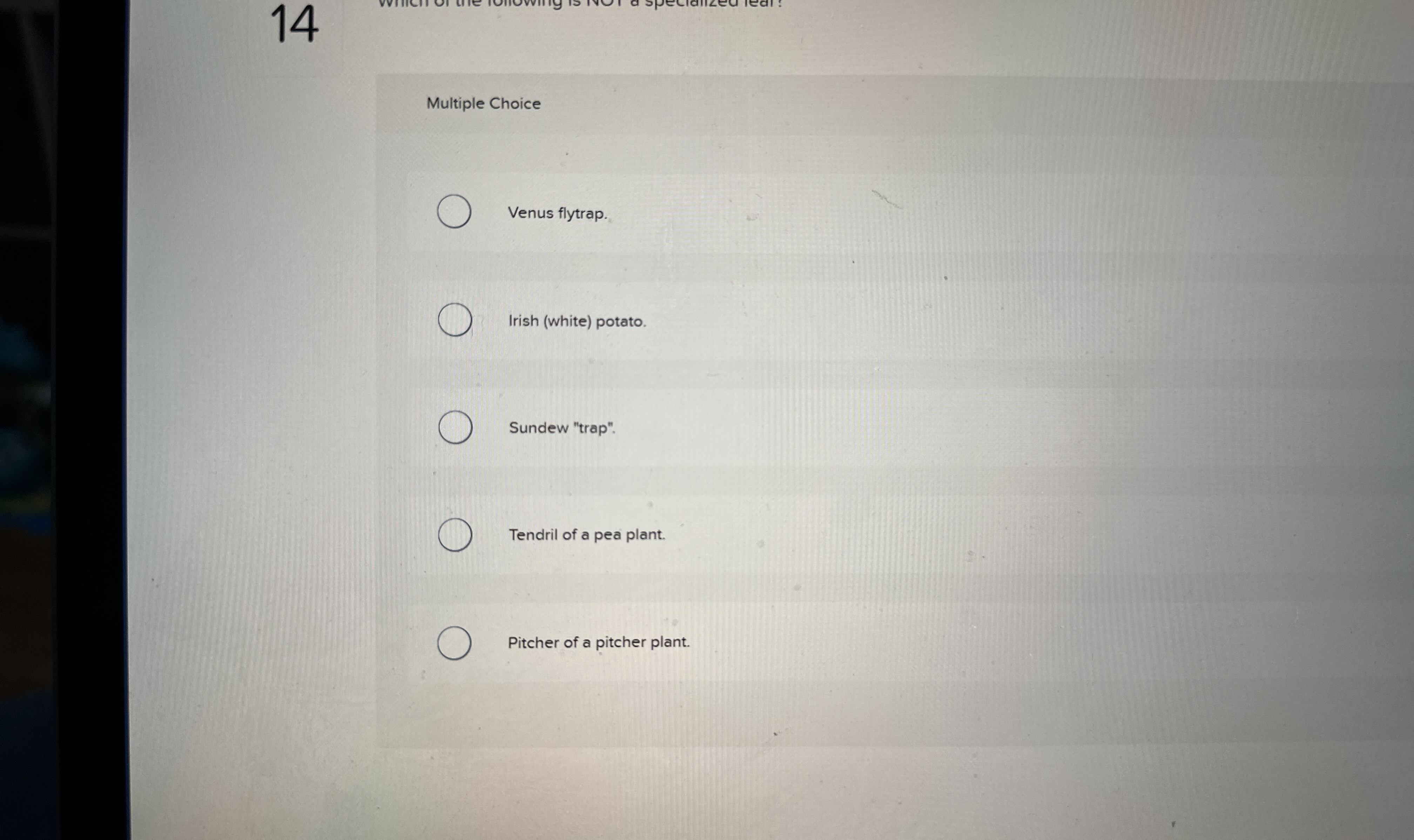 1 4 Multiple Choice Venus flytrap. Irish ( white