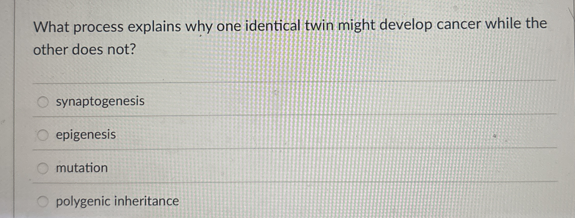 What process explains why one identical twin