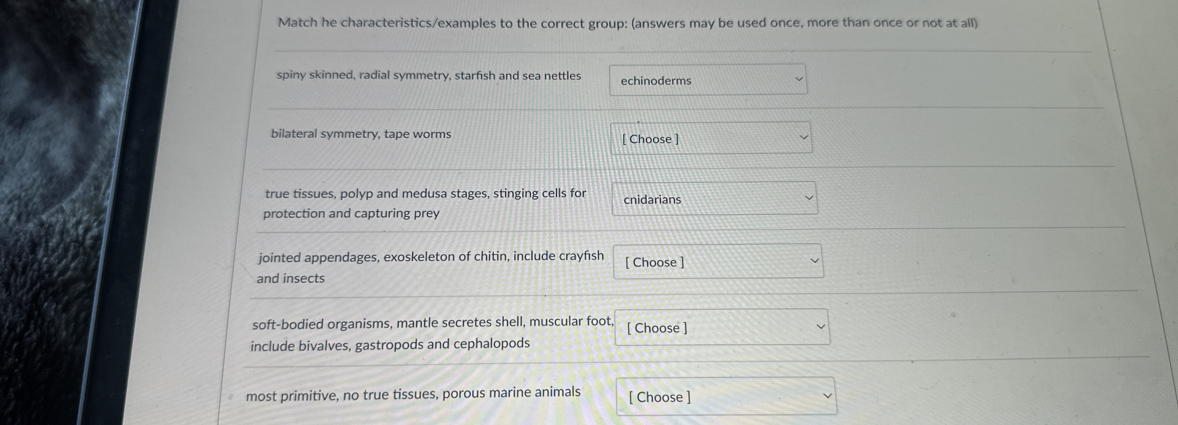 Match he characteristics / examples to the