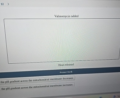 1 2 Valinomycin added Heat released Answer Bank