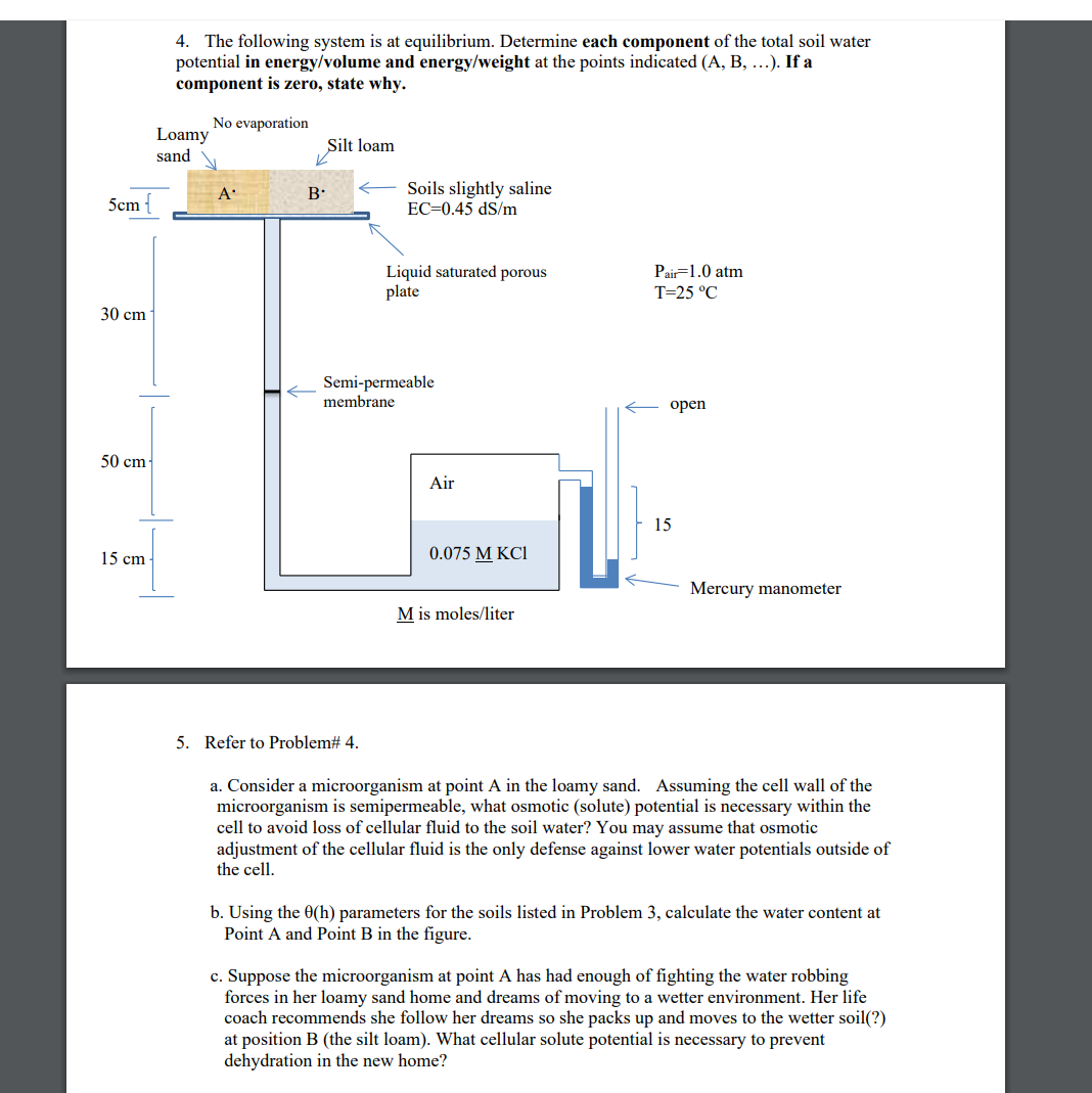 4 . The following system is at equilibrium.