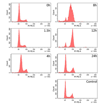 Flow cytometry is a powerful tool for cell cycle