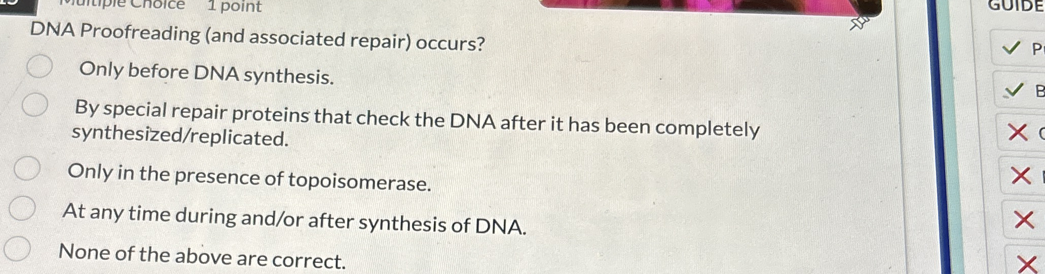DNA Proofreading ( and associated repair )