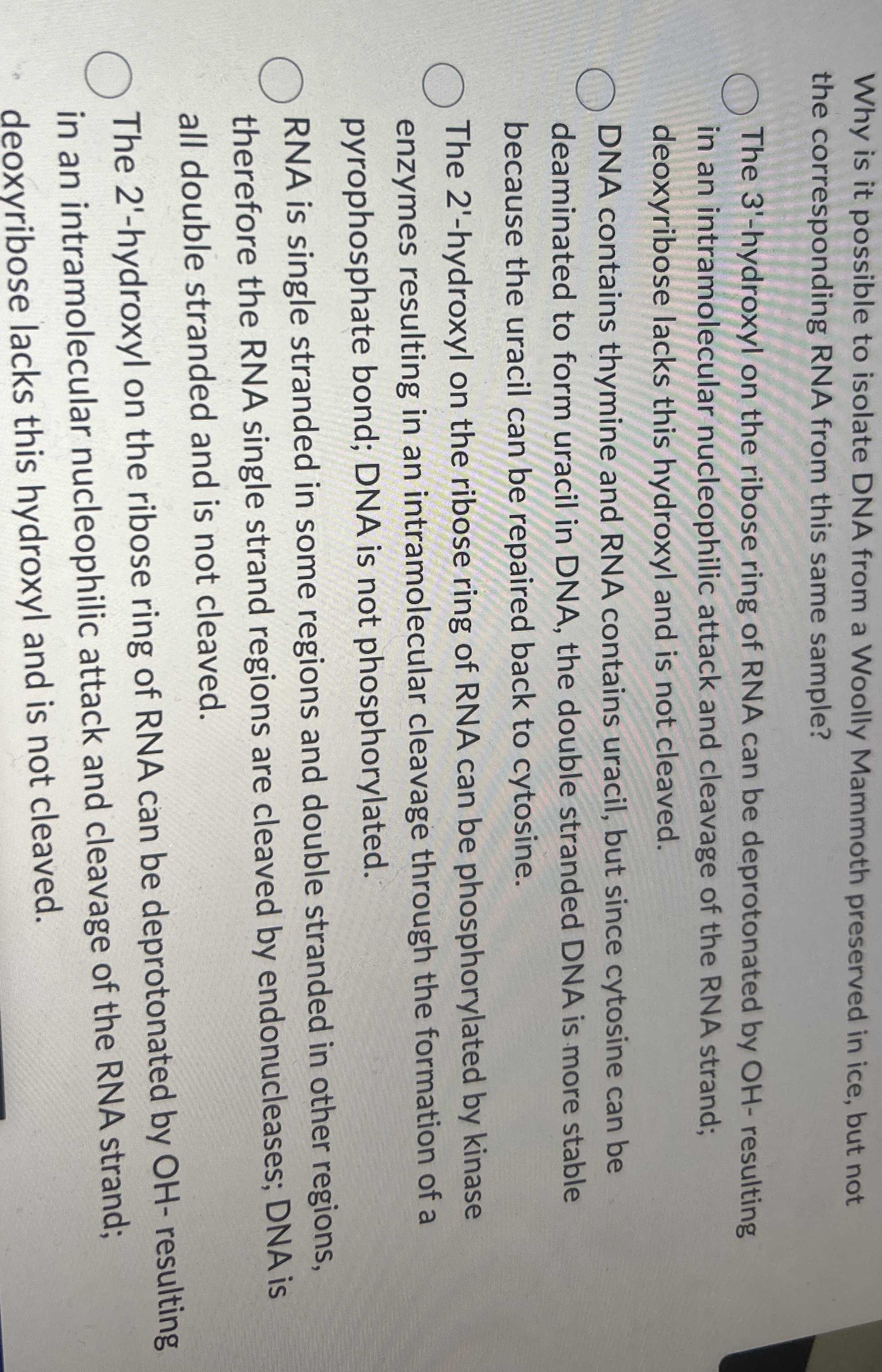 Why is it possible to isolate DNA from a Woolly