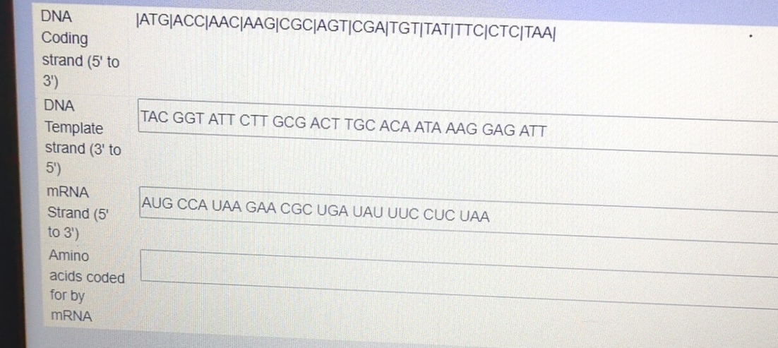 DNA | ATG | ACC | AAC | AAG | CGC | AGT | CGA |