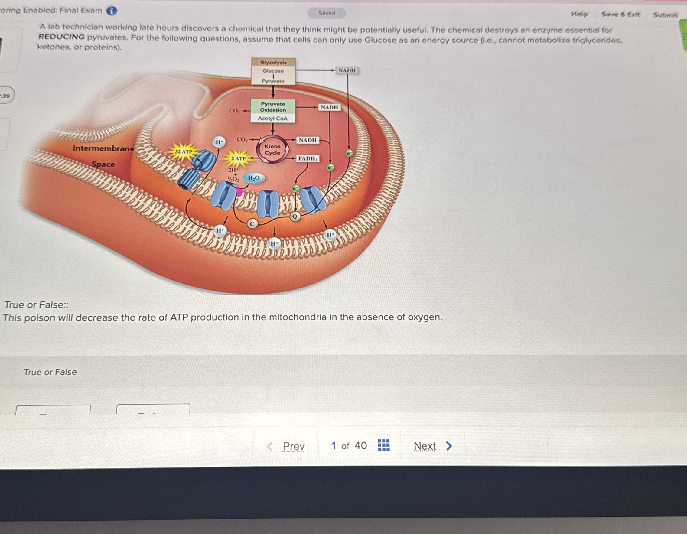 oring Enabled: Final Exam Help Save & Exit Submit