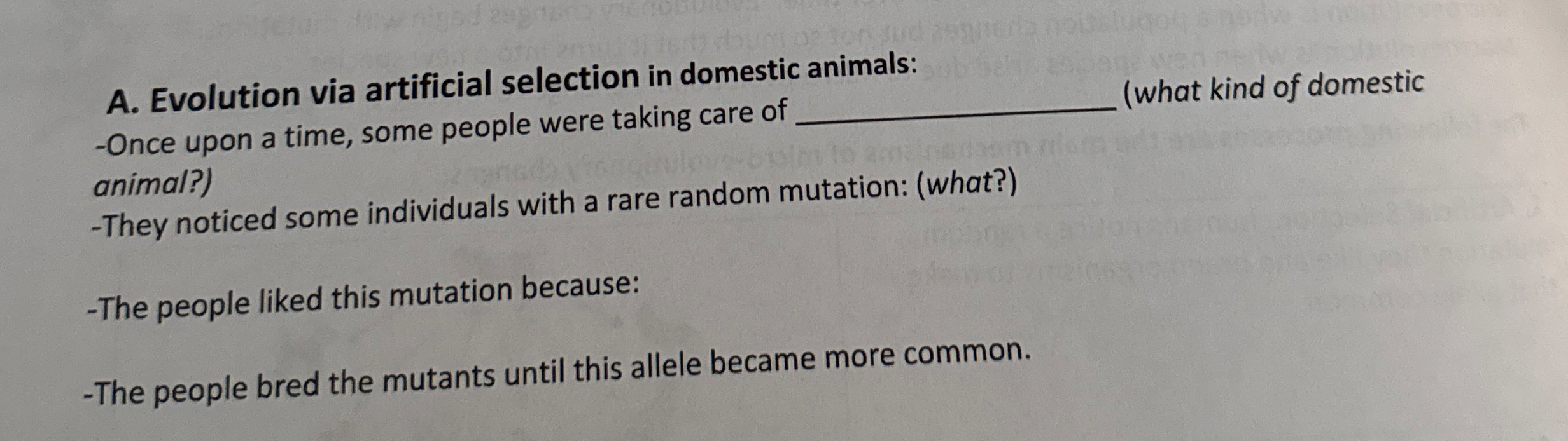 A . Evolution via artificial selection in