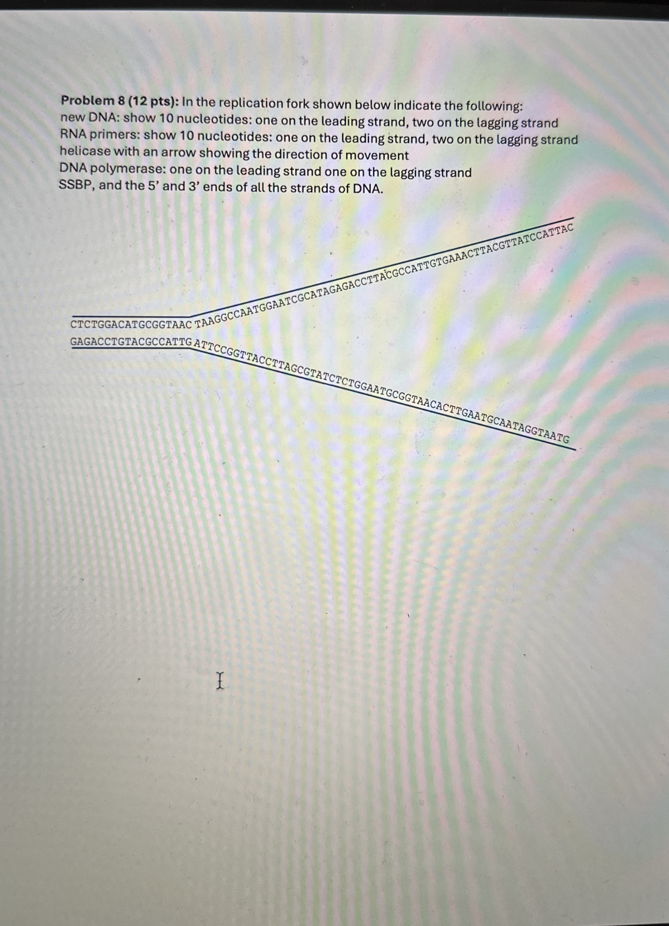 Problem 8 ( 1 2 pts ) : In the replication fork