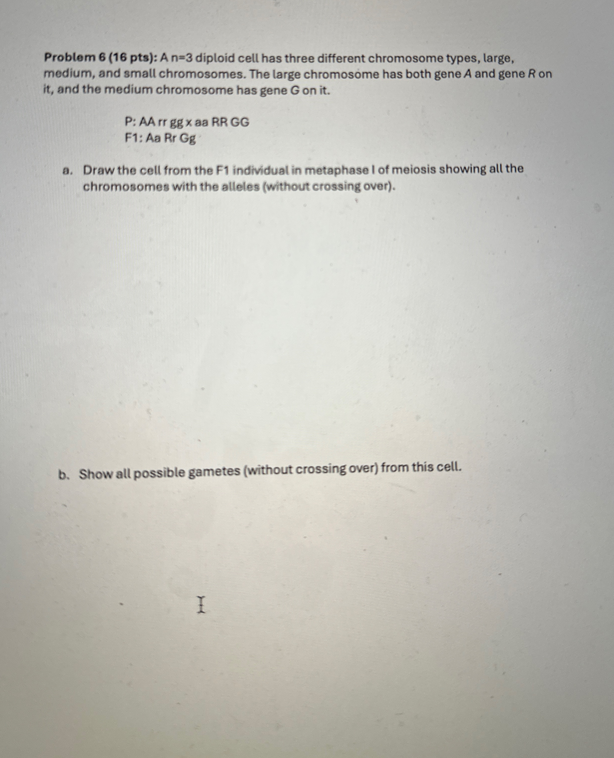 Problem 6 ( 1 6 pts ) : A n = 3 diploid cell has