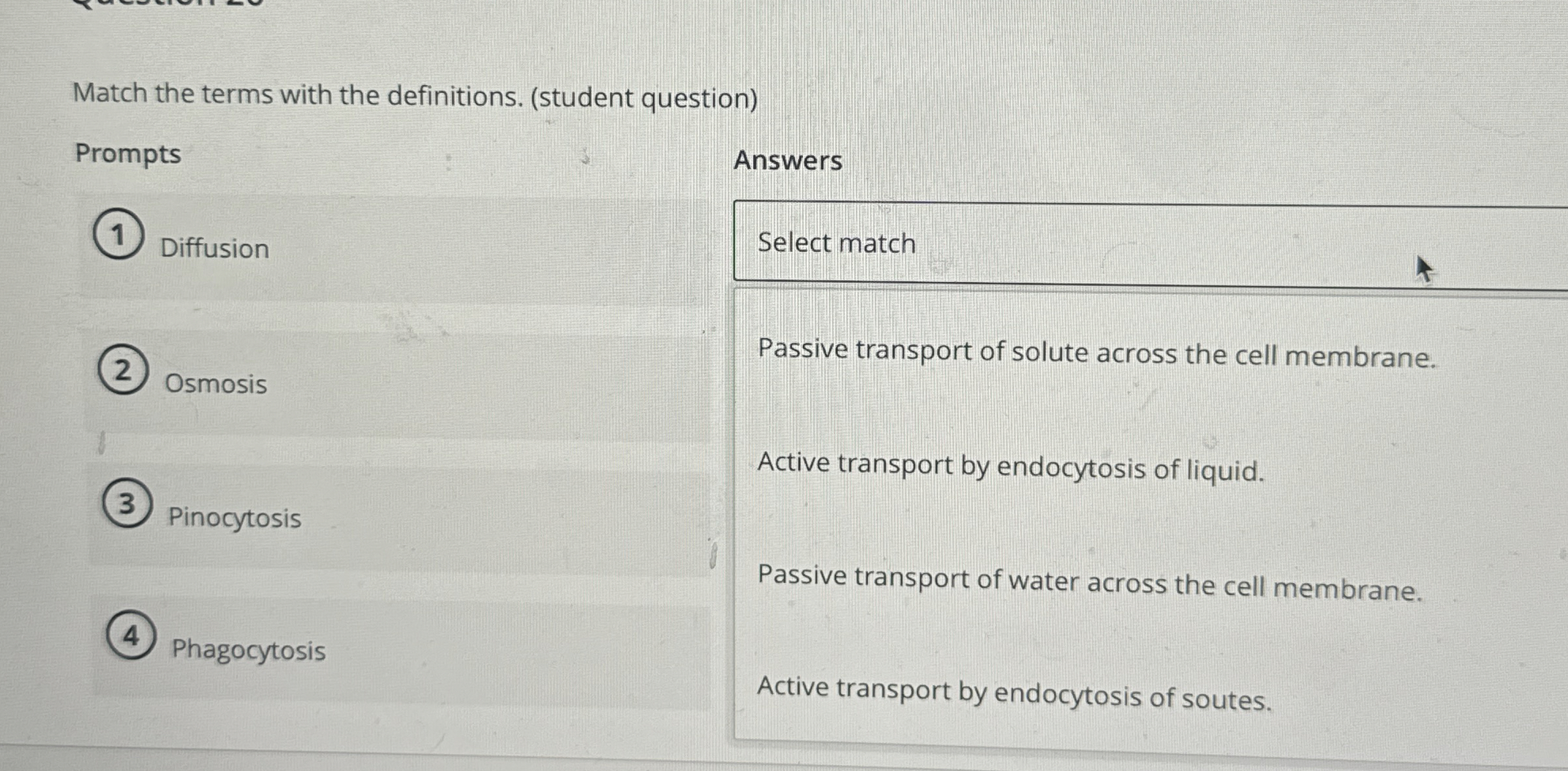 Match the terms with the definitions. ( student
