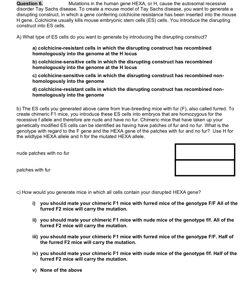 Question 6 . . Mutations in the human gene HEXA,
