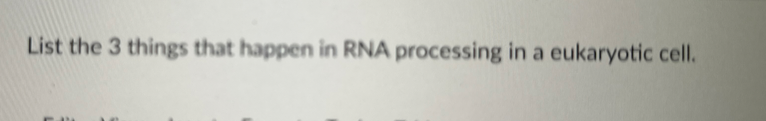 List the 3 things that happen in RNA processing