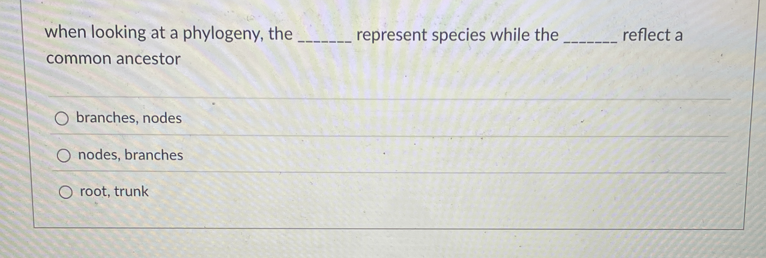 when looking at a phylogeny, the represent