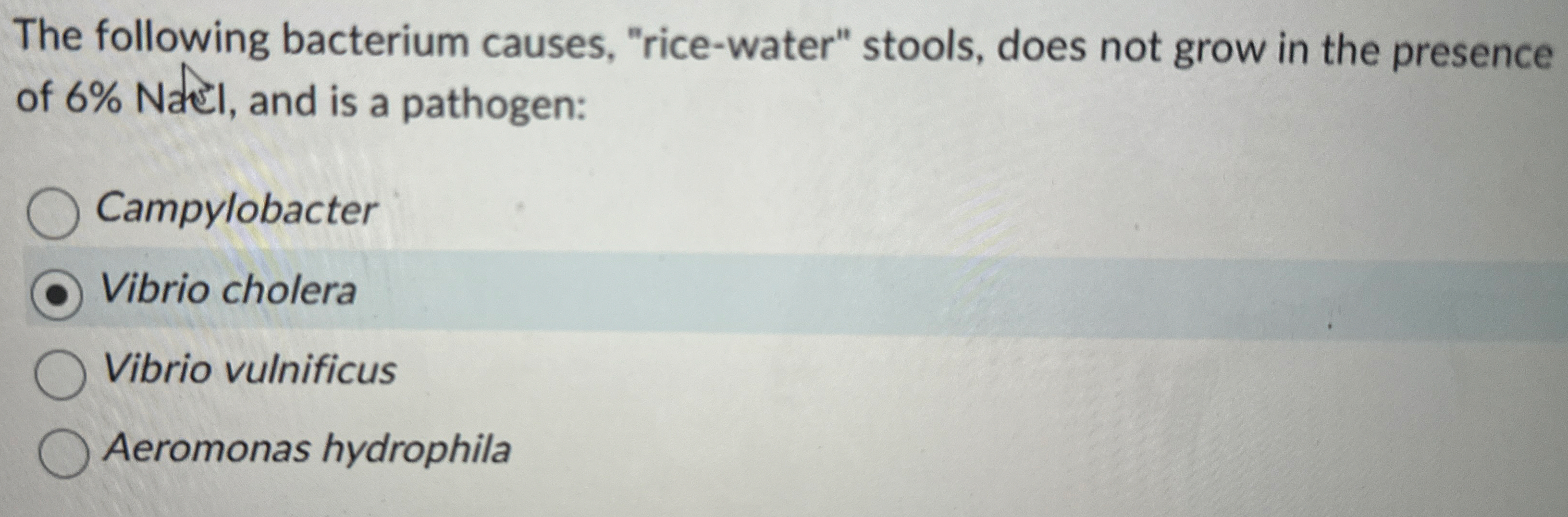 The following bacterium causes, "rice - water"