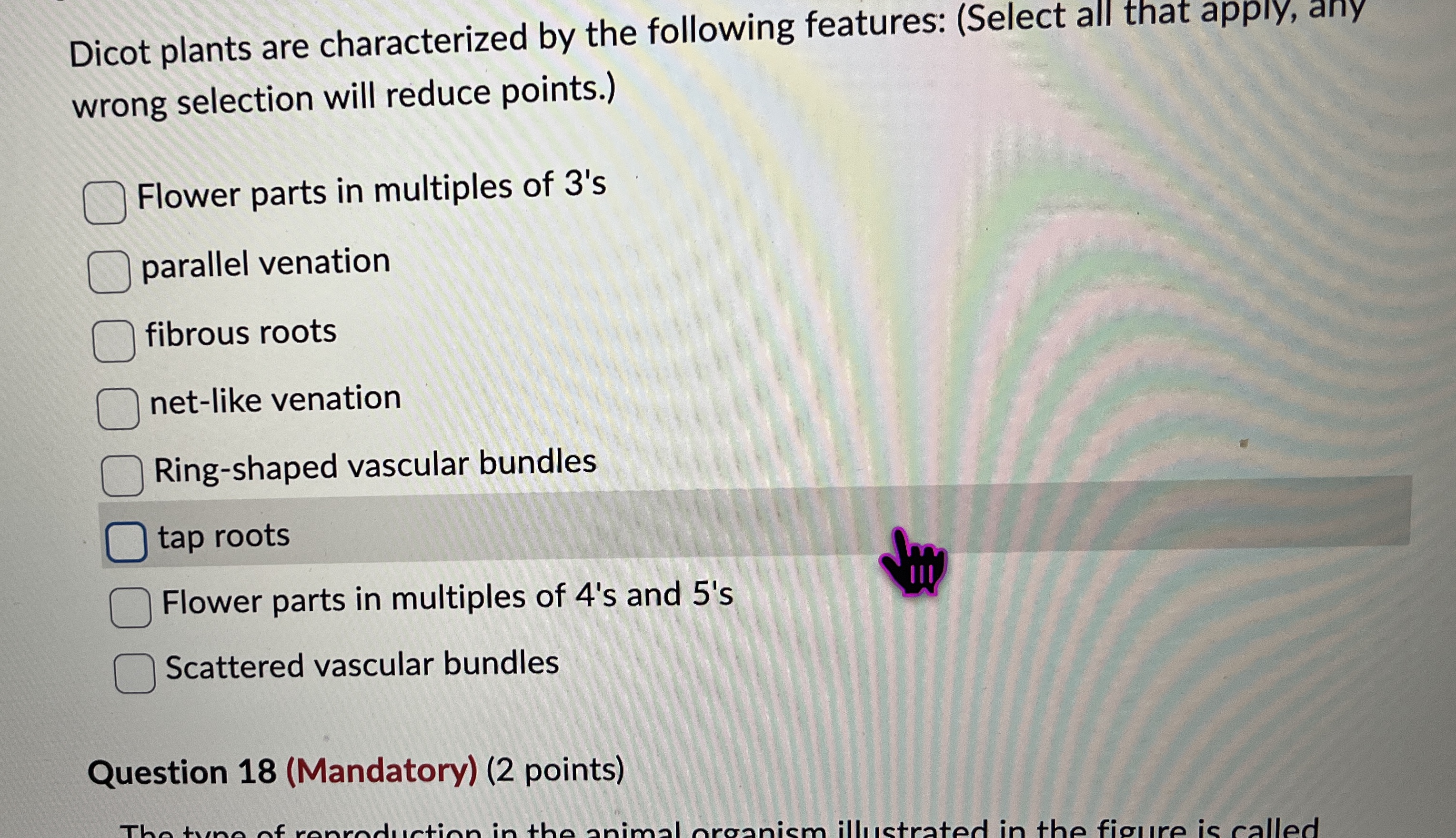 Dicot plants are characterized by the following