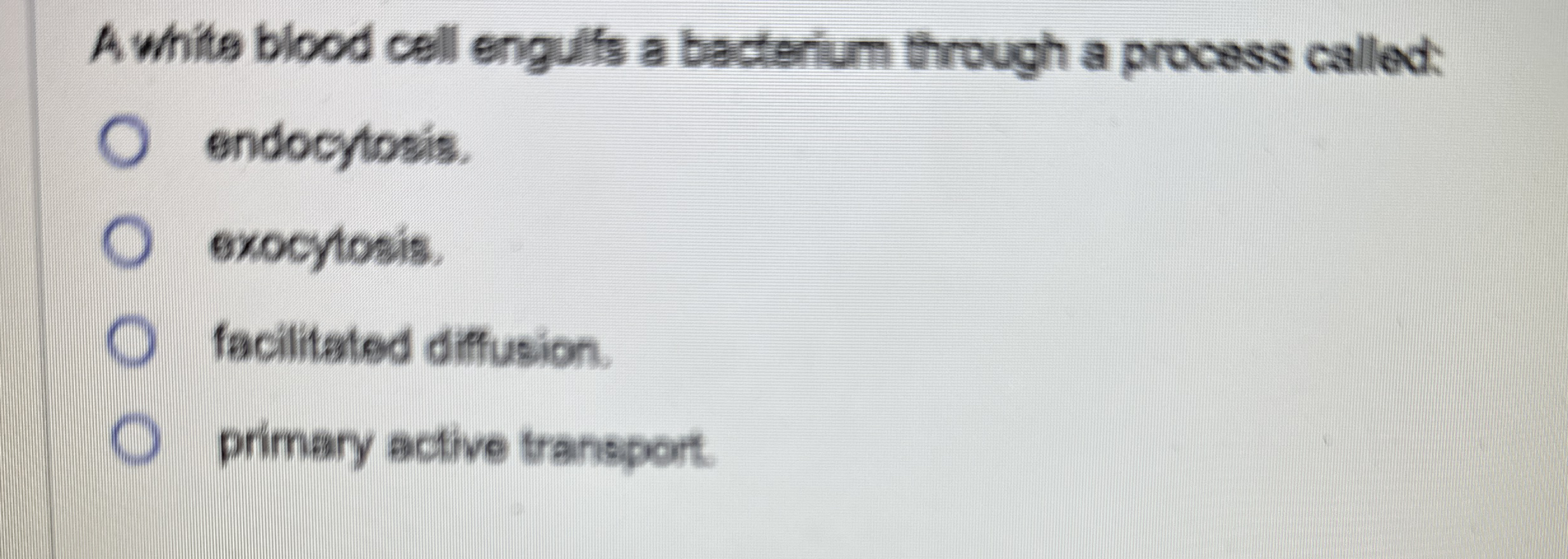 A white blood cell enguifs a bacterium through a