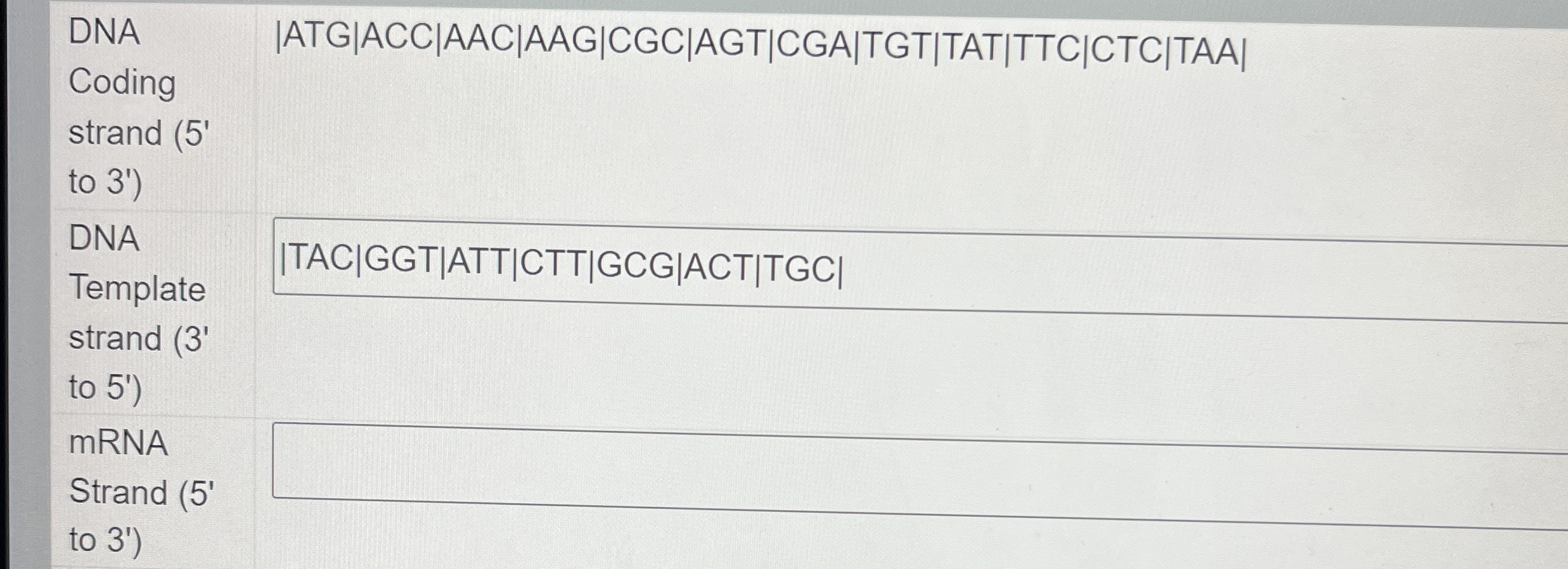 DNA Coding strand ( 5 ' to 3 ' ) DNA Template