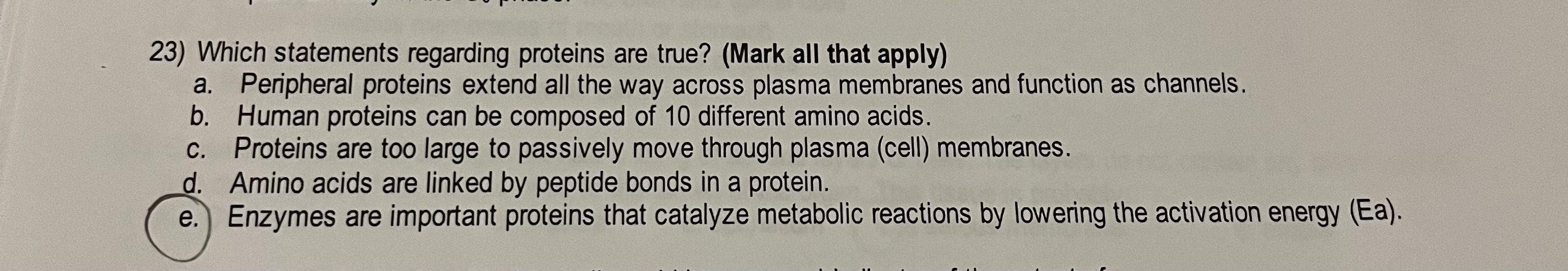 2 3 ) Which statements regarding proteins are