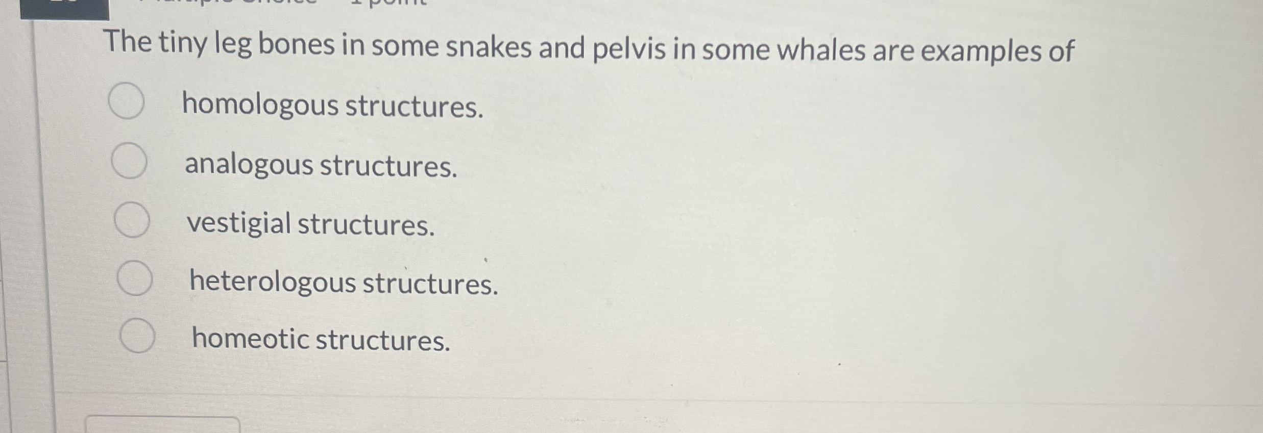 The tiny leg bones in some snakes and pelvis in