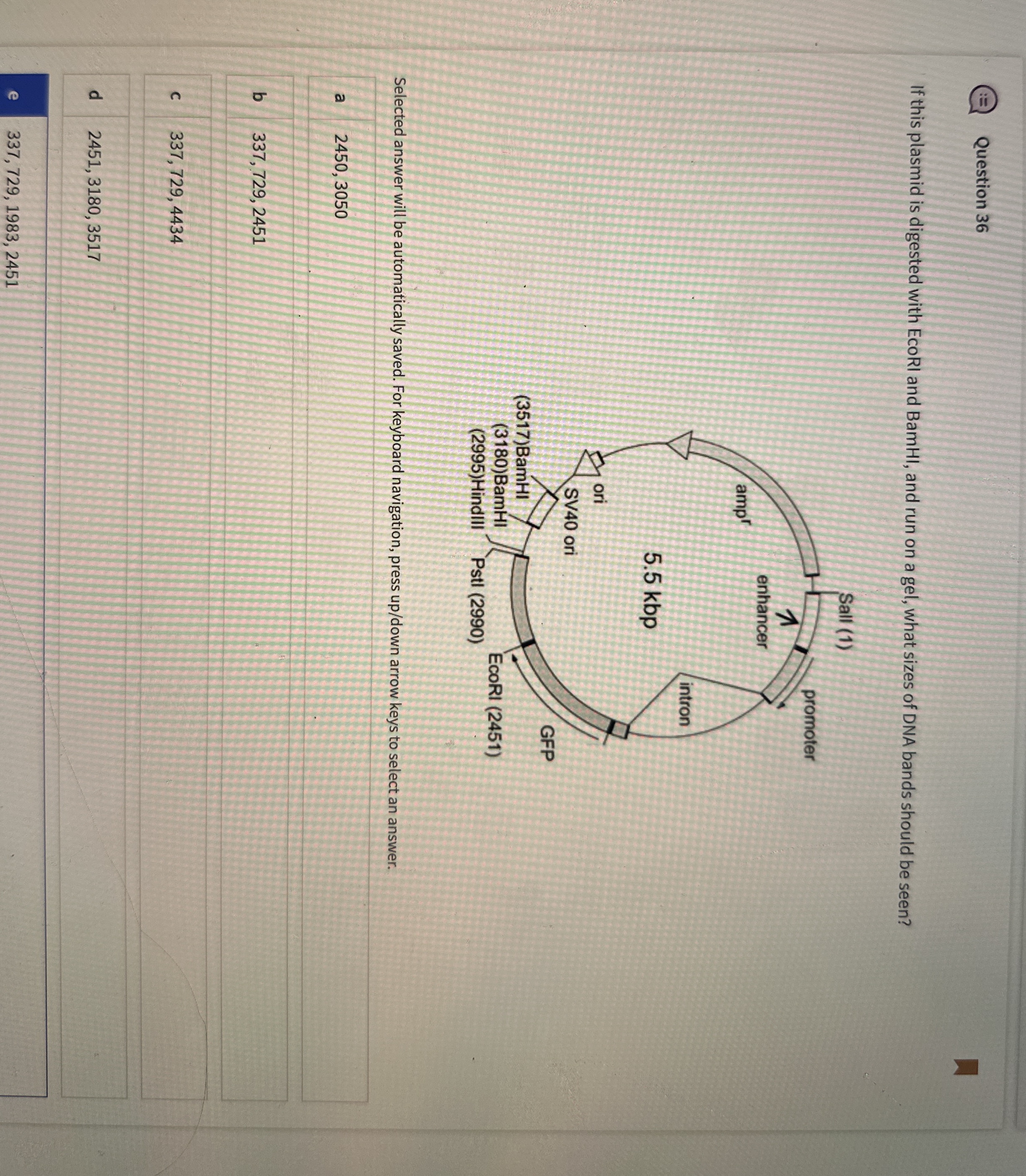 Question 3 6 If this plasmid is digested with