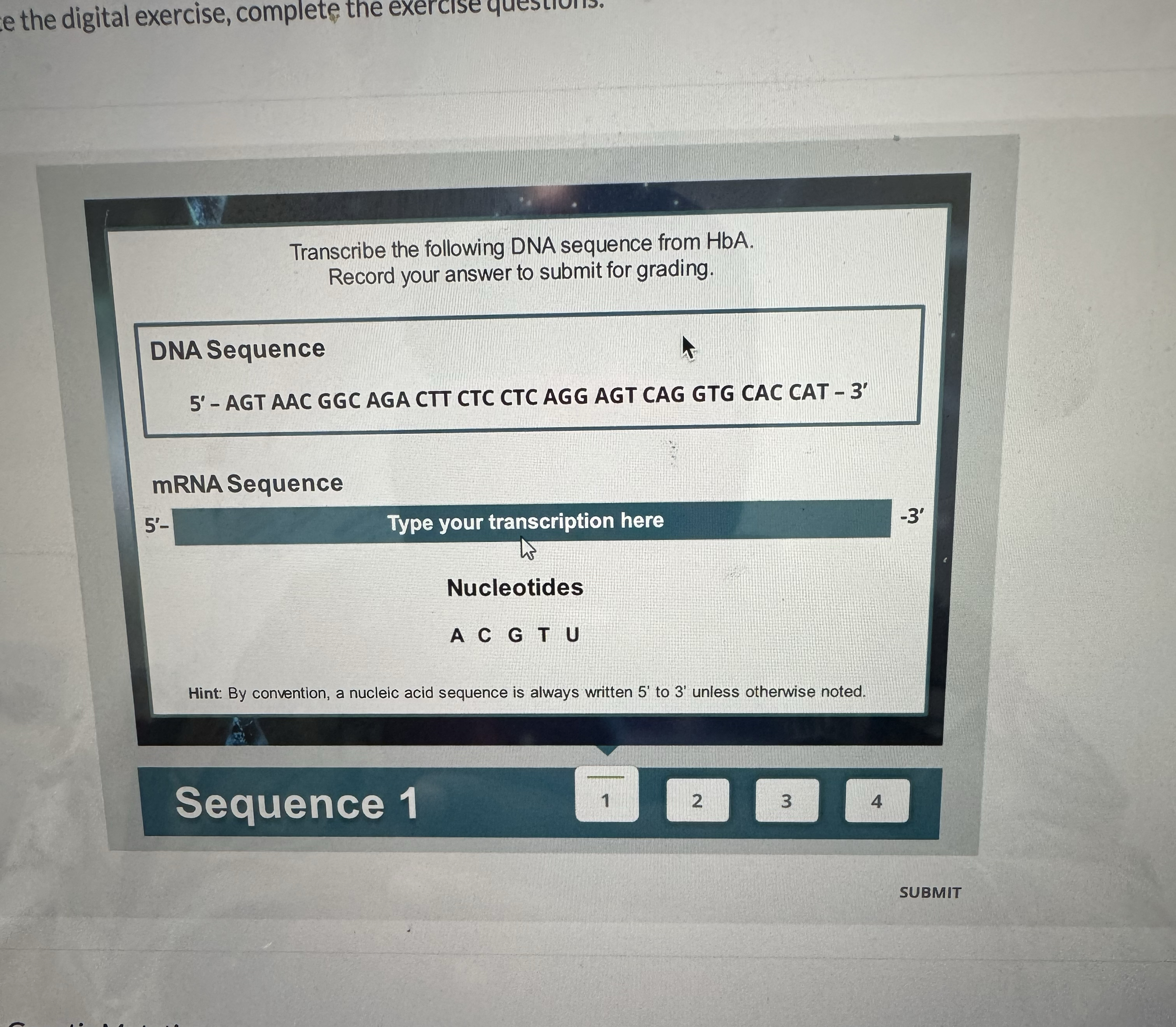 We the digital exercise, complete the exercise