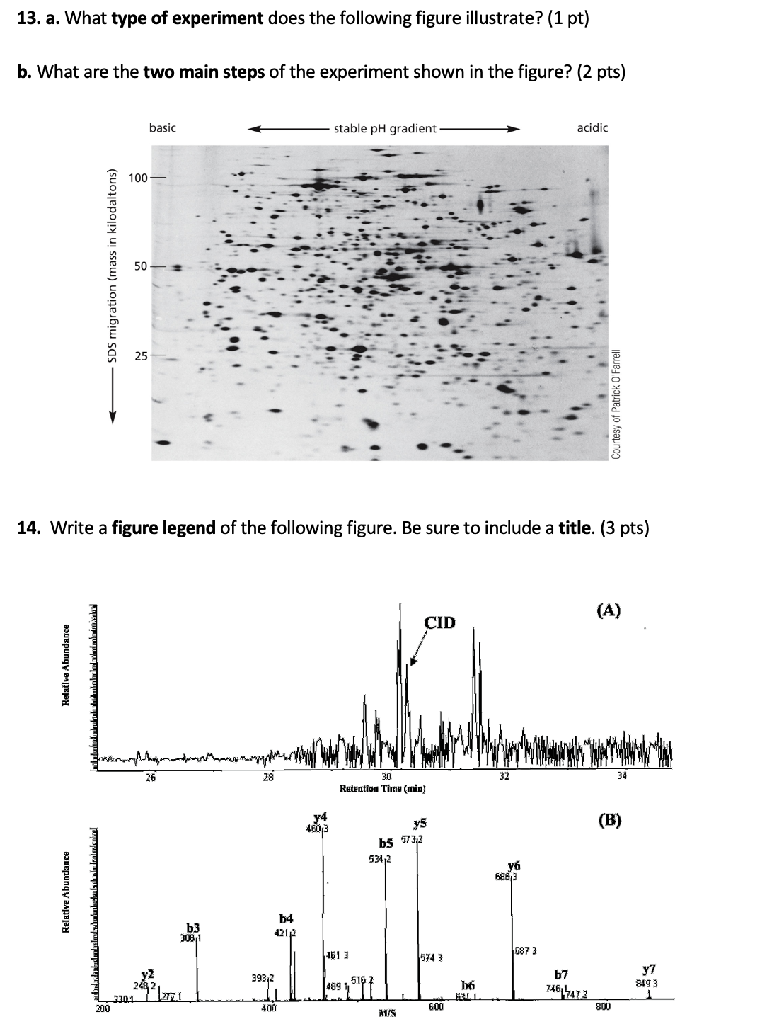 1 3 . a . What type of experiment does the